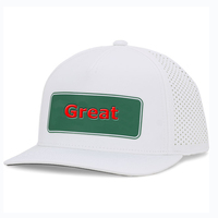 Gorra de béisbol personalizada Golf Polo Style Performance Sombreros Gorras Golf PVC Patch Gorras