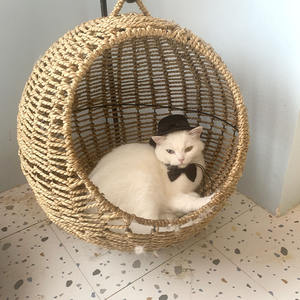 Pet Chapéu Topo Gato Cachorro Gravata Aniversário Festa Acessórios Do Casamento Pet Halloween Party Supplies - Product Image 4