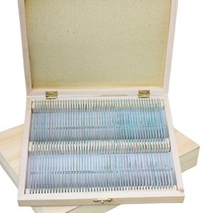 Lames de microscope préparées avec des acariens Sarcoptes adultes, spécimens de parasitologie pour l'enseignement de la biologie médicale et scientifique - Product Image 5
