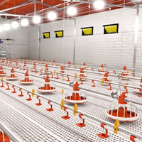 Nuevo Diseño, Mejor Calidad, Equipo Automático para Granjas Avícolas de Pollos de Engorde