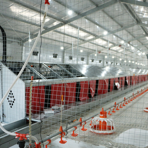 Bán Hot Giống Trang Trại Sử Dụng Tự Động Tổ Cho Đẻ Gà Mái - Product Image 1