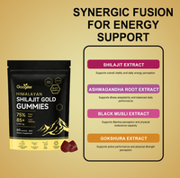 Gummies de Shilajit Pur de l'Himalaya OEM ODM, 85+ Oligo-éléments et Acide Fulvique, pour Hommes et Femmes