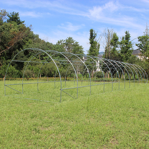 TLSP113 maison type haute tunnel de <span class=keywords><strong>plante</strong></span> d'agriculture étagères <span class=keywords><strong>pour</strong></span> polytunnel greenhouse-36m2 protégé contre les UV - Product Image 6