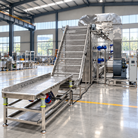 Industriële fruit- en groentedroger met continu transportband, 20 ton per dag, voor grote voedingsmiddelenproductiebedrijven