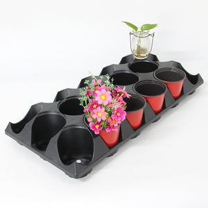 Plateau pour nouveaux pots carrés durs, 18 trous, plateau de transport de <span class=keywords><strong>navette</strong></span>, plateau de transport - Product Image 2