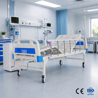 Lit d'hôpital manuel à double manivelle, structure métallique robuste, lit de soins infirmiers pour diverses institutions de soins médicaux professionnels