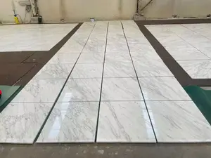 Italy Polished Honed Snow White Marble Stone Natural Statuario White Italian Marble Slab For Wall And Flooring