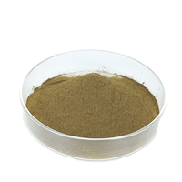Offre Spéciale : Poudre d'extrait de racine d'Ashwagandha 5 % de Withanolides – Ingrédient naturel de supplément à base de plantes pour le soulagement du stress – Vente en gros
