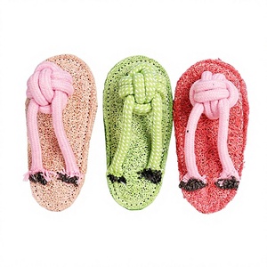ของเล่นแมว ฟองน้ำใยบวบพร้อมแคทนิปและกระดิ่งสำหรับลูกแมวเล่น 16x7 ซม. สีชมพู สีแดง สีเขียวอ่อน ทนทานต่อการกัดแทะ อุปกรณ์สำหรับสัตว์เลี้ยง - Product Image 1