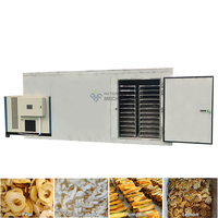 Gasgestookte fruitdroger voor mango, abrikoos, appel, banaan, peer, durian, sinaasappel en citroen.