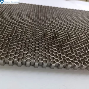 Flow Honeycomb Net Sheet Panel ing aus verzinktem Edelstahl für Wände