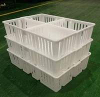 Vente en gros de nouvelles boîtes de transport en plastique de type A caisses de poulet pour cages pour animaux de volaille poussin