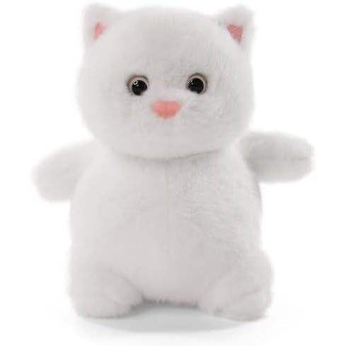 แมวสีขาว