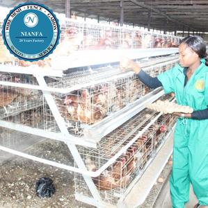 Gà Lồng Gà Coop Chocadeira De Ovos De Galinha Lồng Brooder Hen Trứng (Nhà Máy Quảng Châu) - Product Image 1