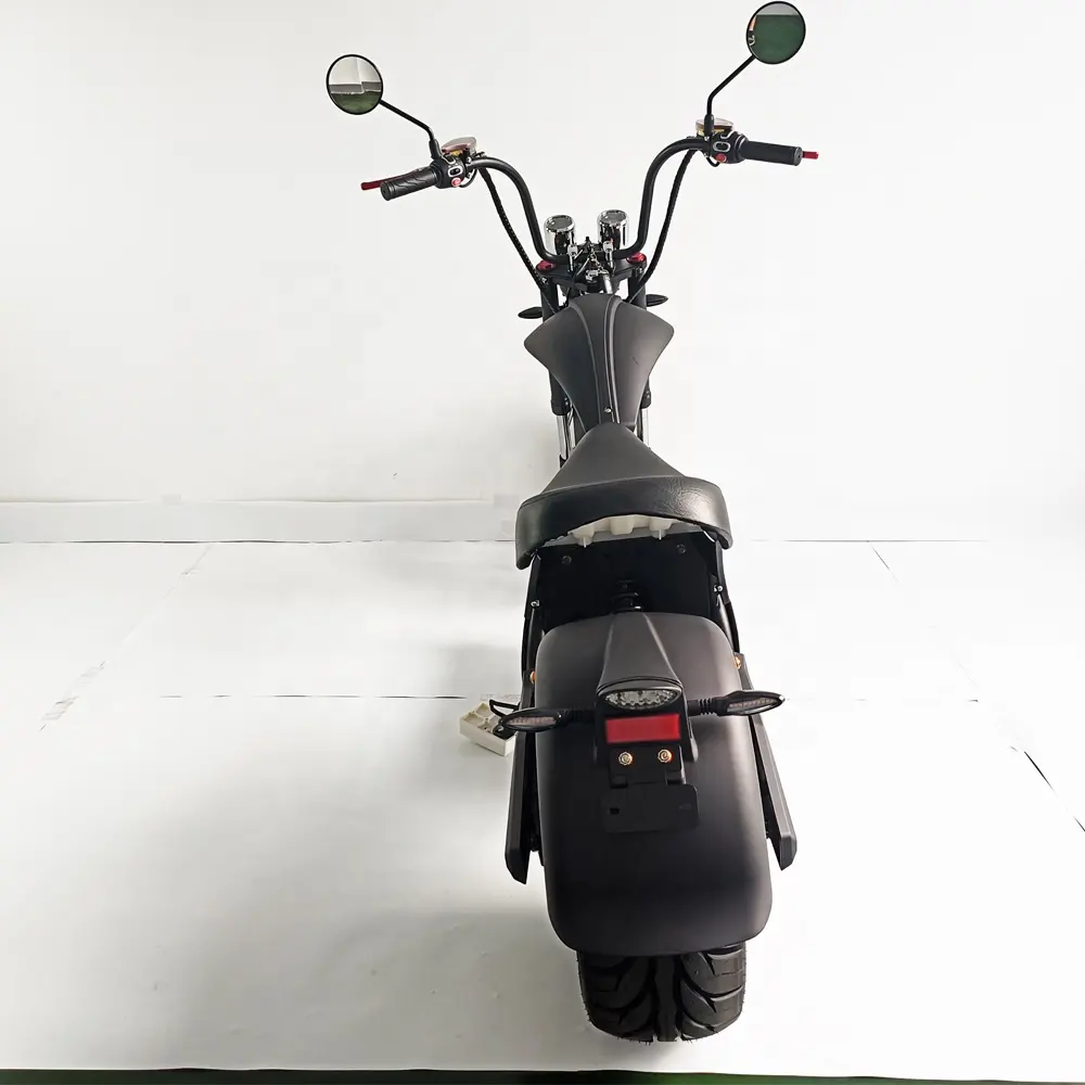 Citycoco-motocicleta eléctrica de 2 ruedas, Scooter con neumático ancho de 60V y 4000W, almacén europeo