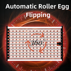 2000 полностью автоматический инкубатор для яиц - Product Image 3