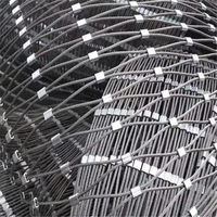 Clôture de filet de maille de câble métallique de balcon d'acier inoxydable pour plantes grimpantes