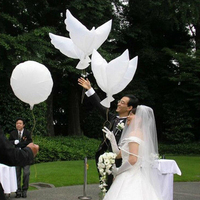 Ballons en forme de colombe blanche, 13 pièces, 100x50cm, ballons en feuille d'aluminium, parfait pour un mariage, une fête d'anniversaire