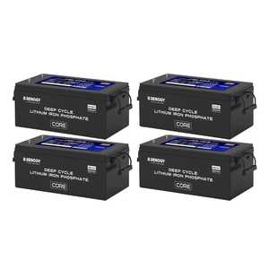 Renogy 24V 200Ah Core Series Deep Cycle Solid State Lithium Iron Phosphate Battery with 6000 Cycles - Product Image 2