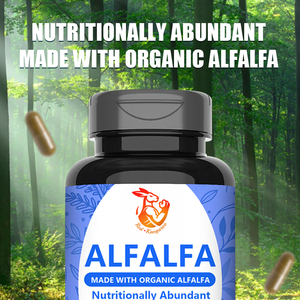 Cápsulas de Alfalfa Orgánica OEM/ODM con Vitaminas y Minerales, Suplemento para Mejorar el Sistema Inmunológico - Product Image 6