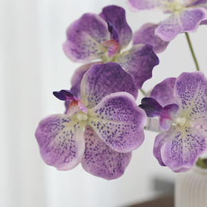 蝴蝶兰供应商丝绸假兰花家居花瓶婚礼装饰廉价人造兰花仿真钩花散装 - Product Image 2