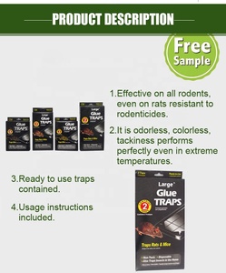 ホット販売工場卸売人道的なPVC黒接着剤トラップマウスマウスとラットキラー板紙 - Product Image 5
