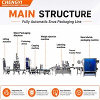 Chaîne de production entièrement automatique CE pour le remplissage, la scellage, le bouchage et l'étiquetage de sachets de poudre de nicotine, de tabac à mâcher et de snus