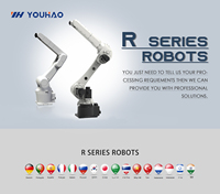 Bras robotisé collaboratif universel YOUHAO à 6 axes, PLC et moteur, charge utile de 30 kg, manutention et emballage automatiques des matériaux