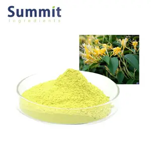 Bulk Price High Quality 5% Chlorogenic Acid Honeysuckle Flower Extract Powder