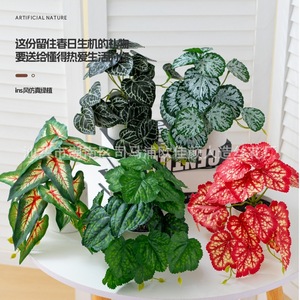 Ou Jiayan Artificial Green Plants 3D Printed Monstera Potted Indoor <b>Decorative</b> Desktop <b>Wall</b> Hanging Vine Plants - Product Image 2