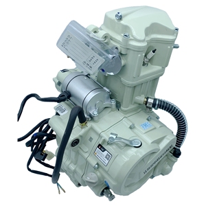 เครื่องยนต์ ZS200CC สตาร์ทไฟฟ้า คล้ายกับ Daytona Anima <span class=keywords><strong>200</strong></span> พร้อมชุดเครื่องยนต์ครบชุด พร้อมจัดส่ง Zongshen 200CC - Product Image 3