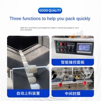 Gannan Electric Single-Feed-Absack maschine Automatisch für Lebensmittel Nabel Orangen Parfüm Zitronen Zucker Obst SPS Kern Kunststoff