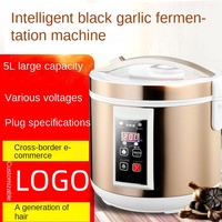 Machine de Fermentation Automatique Standard Européenne 110V-240v pour Ail Noir Capacité 5L Machine à Enzyme à Usage Domestique 1 An