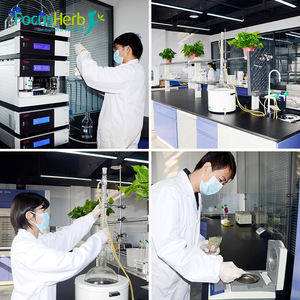 FocusHerb USA <b>Warehouse</b> Spot Soybean Extract Powder PS 20% Phosphatidylserine - Product Image 5