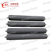 Rouleau de guidage de toile à haute friction BT049 personnalisé pour usage industriel, avec axe de pression, OEM