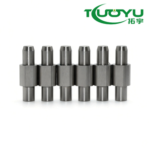 <span class=keywords><strong>2026</strong></span> OEM Pasadores expulsores de carburo y acero para moldes de punzonado de vehículos, modelo DIN9861D, proveedor de Guangdong, sin marca - Product Image 5