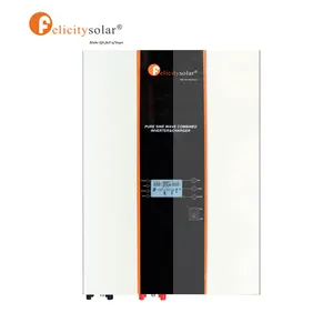 Guangzhou felicity Pure sinus omvormer/Zonne-energie Thuis inverter 1KW om 12KW, CE goedgekeurd