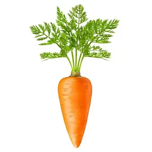 Ligne de production automatique de jus de carotte Machine de remplissage aspetique de jus de carotte
