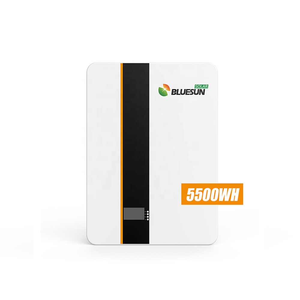 bluesun 48v battery All-in-one design 48v 100ah lithium ion battery 80% DOD 48v lifepo4 battery 200ah 5500wh