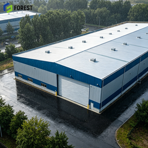 Estructura de Acero para Taller, Estructura Avanzada para Fábrica, Grúa Flexible de Nueva Generación, Distribución Automática Galvanizada, Personalización para la Industria Aeronáutica - Product Image 1