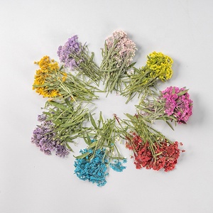 Lobularia <span class=keywords><strong>maritima</strong></span> seca en relieve, flor prensada dulce de alissum para bricolaje, funda de teléfono, decoración de uñas, joyería, postales, venta al por mayor - Product Image 1