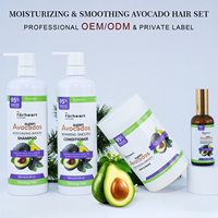 Set Sampo Kondisioner Salon Private Label OEM/ODM Alami Bebas Sulfat Melembapkan Mengontrol Minyak Perawatan Rambut