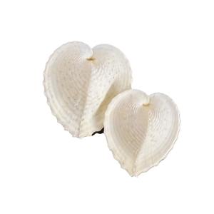 Coquillages naturels, escargots de mer, perles, coquilles Saint-Jacques, conques, coquillages pour peinture à l'huile, boîtes à bijoux, artisanat, vente en gros directe - Product Image 1