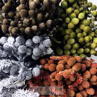 PPS05 Brunia Albiflora Conservé Corail Fruits Fleurs Offre Spéciale Vente En Gros pour Graduation De Noël Thanksgiving Décoratif