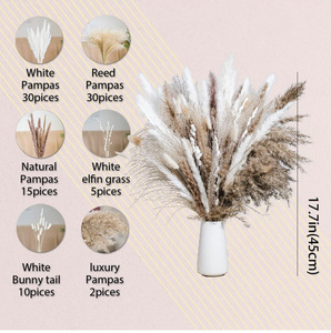 Ricco pacchetto personalizzato di Design colorato erba di pampa secca grande soffice naturale decorazione di nozze conservato pampa di fiori secchi erba - Product Image 5