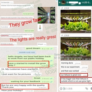 Full Spectrum <strong>LED</strong> <strong>Plant</strong> Lamp Grow <strong>Lights</strong> <strong>for</strong> Saffron Farming - Product Image 6