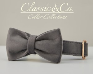 ชุดปลอกคอและสายจูงสุนัขสีเทาเข้มพร้อมป้ายชื่อส่วนตัวสำหรับลูกสุนัข - Product Image 4