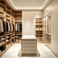 Dressing sur mesure moderne de luxe avec îlot, porte vitrée et bande lumineuse LED pour projets de villas et appartements
