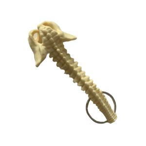 Modelo de faja espinal humana en miniatura Llavero pélvico occipital <span class=keywords><strong>posterior</strong></span> para ciencia médica - Product Image 1