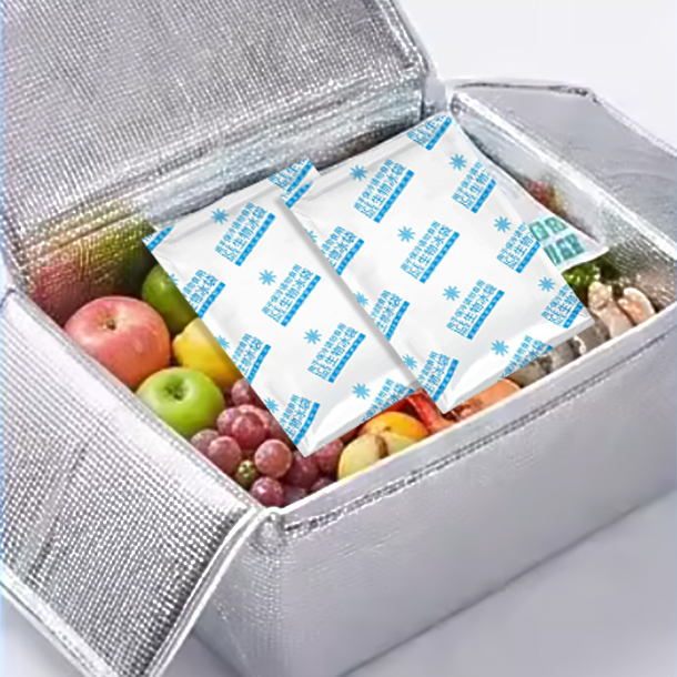 Factory Price Food Grade Long Lasting Reusable Easy-to-Use Cooling Ice Pack Model G-8 Bulk